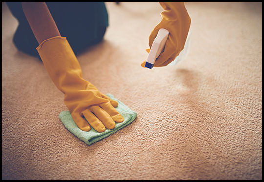 carpet cleaning Melbourne